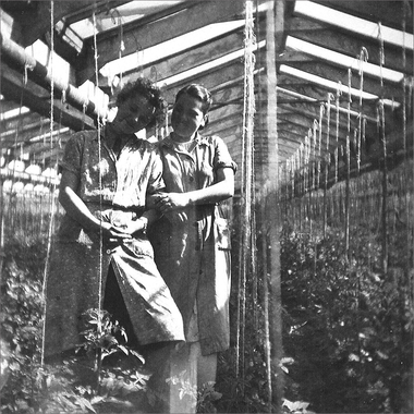 Lieselotte Nitz, geb. Meuser mit Ihrer Kollegin 1954 im Tomatenhaus.