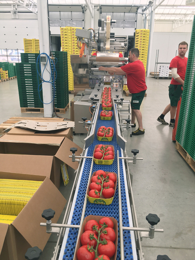 Das Verpacken